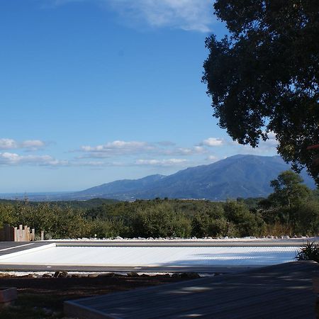 Mas La Marchette Céret Exterior foto