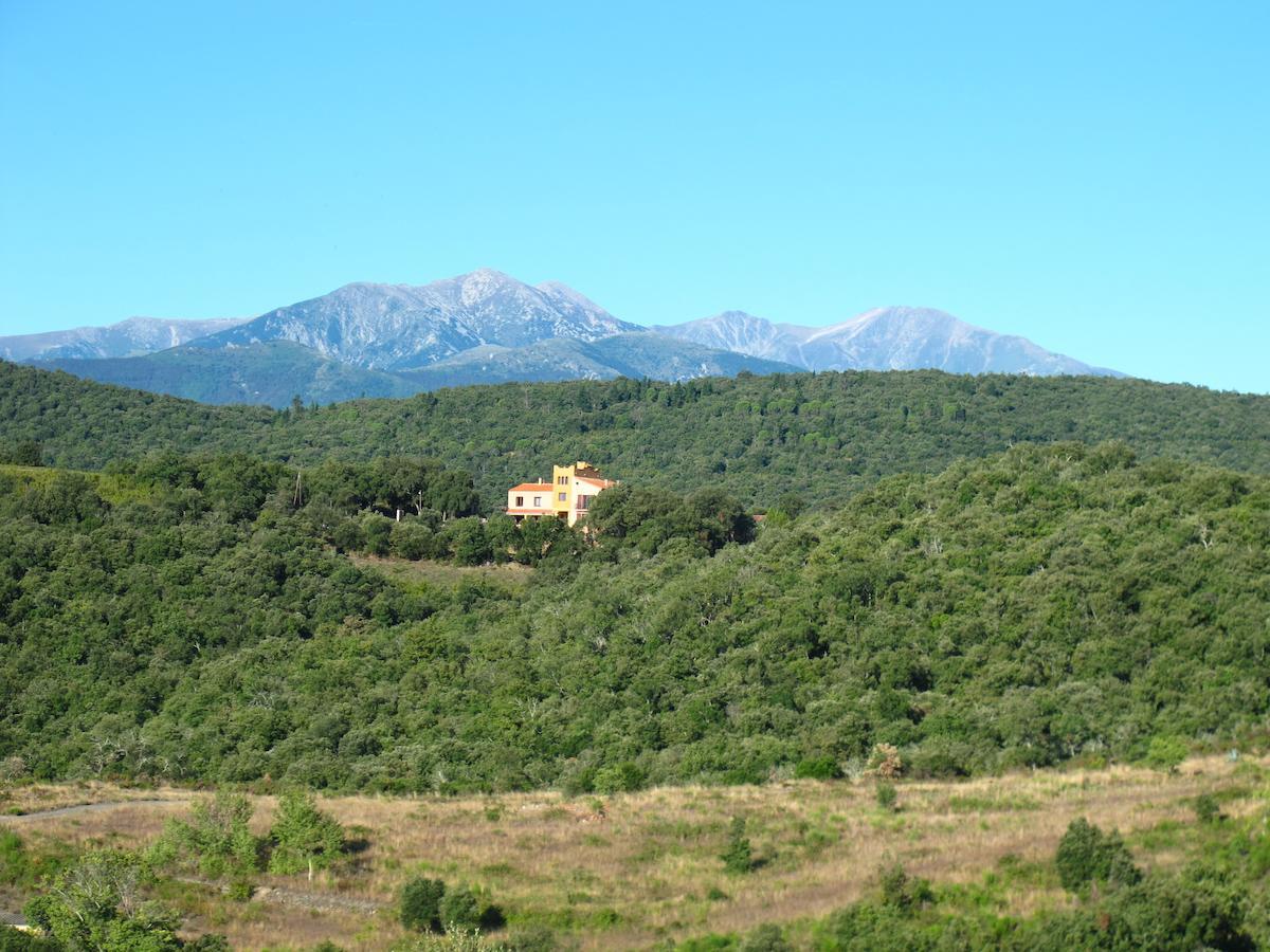 Mas La Marchette Céret Exterior foto